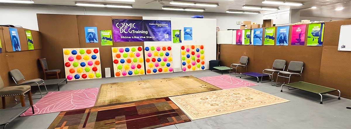 Cosmic Dog Training Center and the Sniff Wall inside The Happy Beast in Lafayette, Colorado.