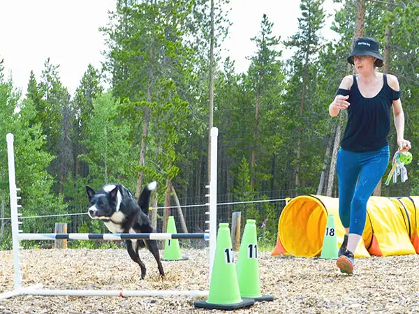 Cosmic Dog Training, Kathleen and Arrow at an agility center, Arrow jumping, Nederland, Colorado.