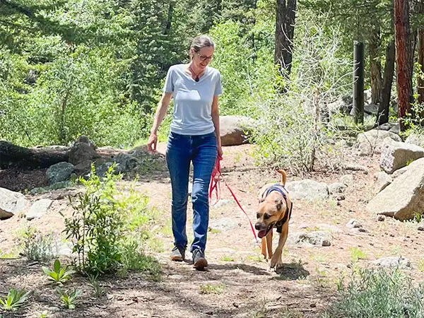 Cosmic Dog Training: Kathleen and Koda, loose-leash walking near Boulder, Colorado.